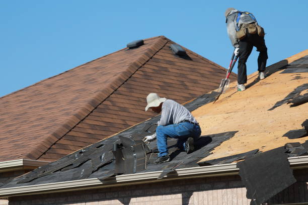 Roof Insulation